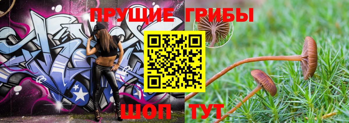 Балаково  Галлюциногенные грибы Magic Shrooms  Псилоцибиновые грибы мицелий  Вход с VPN 